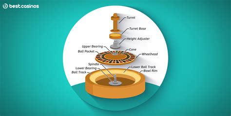 Roulette Basics – All You Need to Know About .